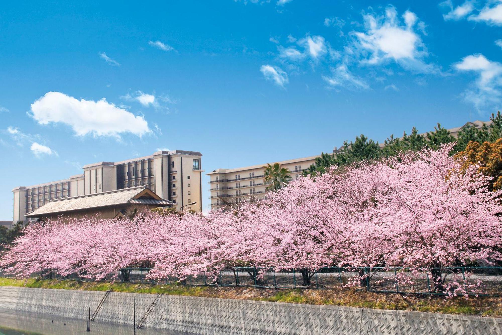 Ryugujo Spa Hotel Mikazuki Fujimitei Kisarazu Exterior foto